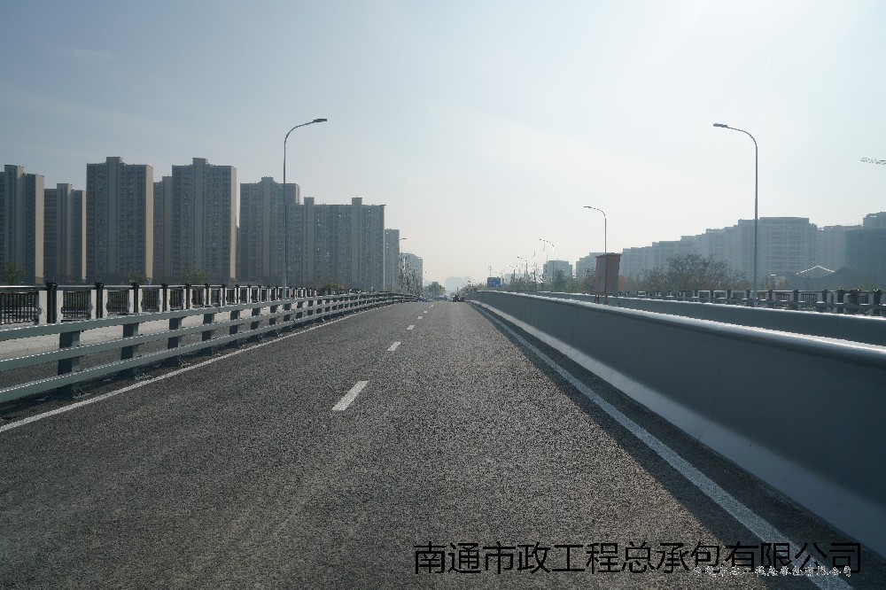 星城路橋梁改造工程（八一路-觀(guān)暢路）